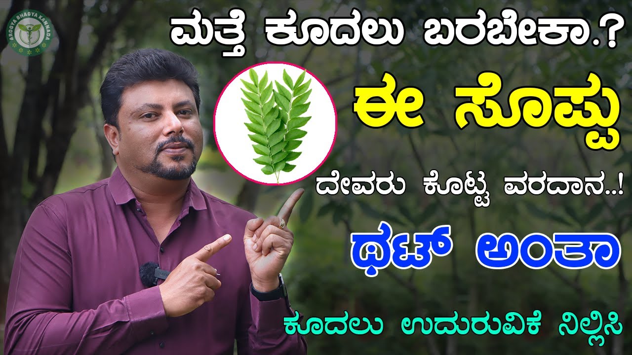 ಕೂದಲು ಉದುರುವಿಕೆ ತಡೆಗಟ್ಟಲು  ಈ ಸೊಪ್ಪು ದೇವರು ಕೊಟ್ಟ ಸಂಜೀವಿನಿ | Kudalu Uduruvike Kannada | Best Hair Pack