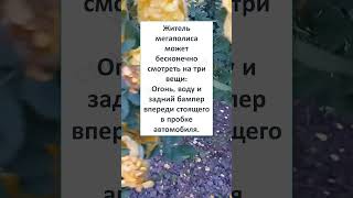 🤣🤣🤣 #смех #юмор #анекдоты #ПРО ЖИТЕЛЯ МЕГАПОЛИСА  😂😎😆 #Shorts