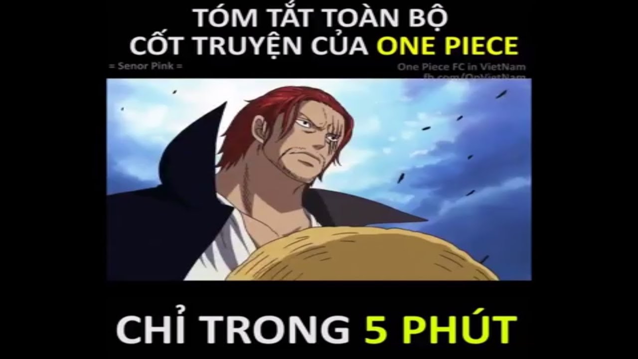 Tom Tắt 800 Tập O N E P I E C E Trong 5 Phut Khong Xem Uổng Phi Cả Cuộc đời Be đe Thong Tin Về Vua Hai Tac Tap 800 Thị Trấn Thu Cưng