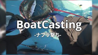 【広島湾】ボートキャスティング（ナブラ撃ち）