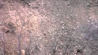 Rossi .410 shotgun barrel