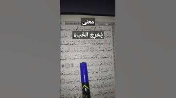 (يُخرِجُ الخَبءَ). ما معناها. سورة النمل ٢٥