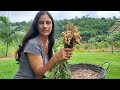 Festa feita com os produtos da nossa Terra