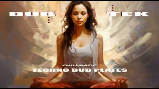 Techno Dub Plates - Dub Tek