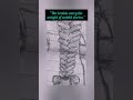 “She hides her story in a braid 🌸”Like. Subscribe. Comment.