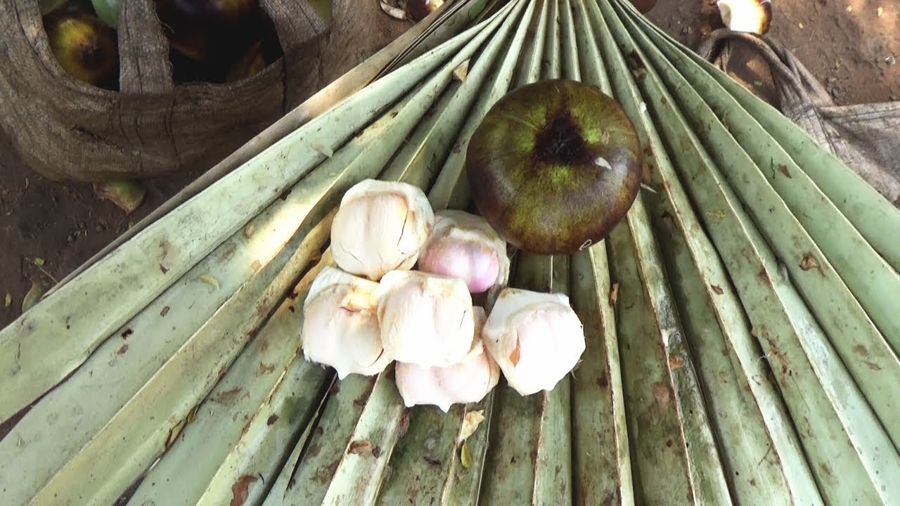 Tender Palm | Seasonal Fruits in India | Tati Munjulu | Munji Kayalu | Indian Street Food | Street Food Zone