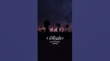 القارئ عامر الكاظمی.سورة فصلت #راحة_نفسية #اكسبلور #لايك #المصحف #فولو