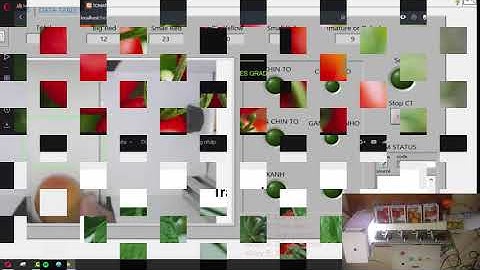 TOMATO GRADING SYSTEM USING ARDUINO + LABVIEW