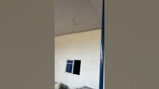 ONYE EZE JESUS| Who said there is no God, the church project is going on