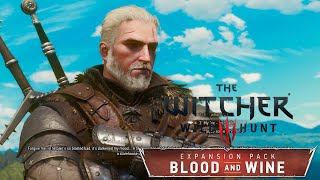 The Witcher 3 Wild Hunt - Part 189 - We unlocked Enchanting!