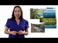 Learn biology biomes and communities definition