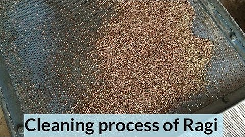 Cleaning process of Ragi (Finger Millet) in Flour Mill
