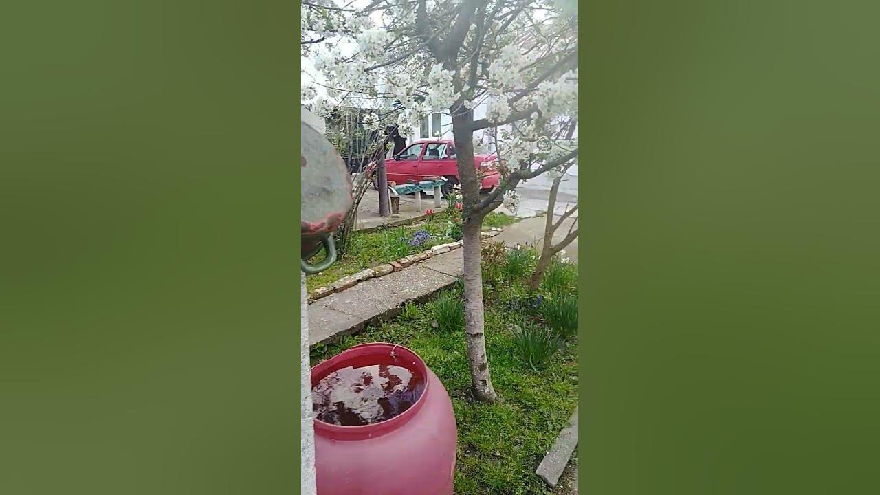 Vremea In Stefanesti Arges Vremea Stefanesti Arges 17-04-2023 - YouTube