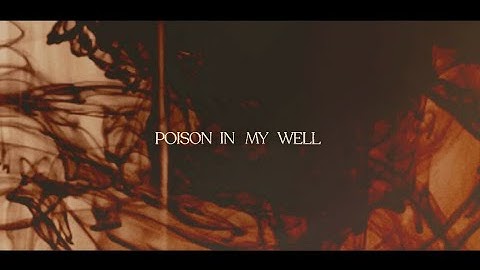 Maggie Rose & Grace Potter - Poison In My Well (Official Lyric Video)