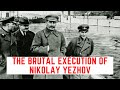 The BRUTAL Execution Of Nikolay Yezhov - Stalin