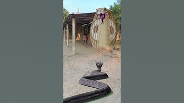 Shiv tandav stotram | Hara hara shiv sambhu #shorts #shortvideo #vfx