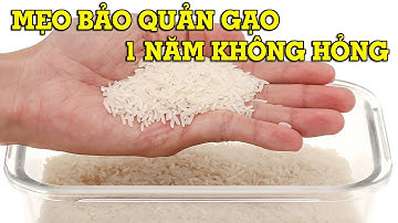 4 mẹo bảo quản gạo không bị mọt, 1 năm không hỏng - Mẹo Vặt Cuộc Sống
