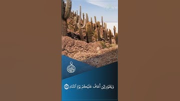 تلاوة طيبة من سورة غافر || بصوت القارئ : عبيدة موفق || ﴿ وَقَالَ الَّذِي آمَنَ ﴾