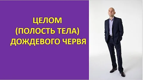 29. Целом (полость тела) дождевого червя