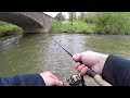 CREEK Fishing for Rainbow & Brown TROUT