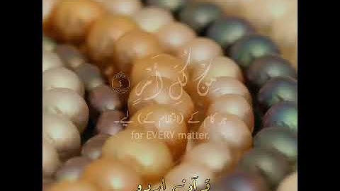 وما ادراك ما ليلة القدر⁉️سورة القدر، القارئ أحمد الشافعي|Surah Al Qadr|Ahmed al Shafiee|Quran Urdu