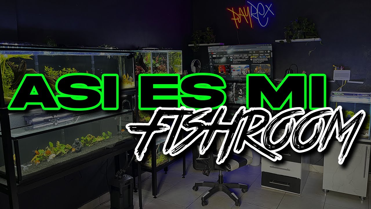 ASI ES MI FISH ROOM | Payrex