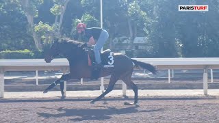 Hong Kong : le défi d'Horizon Doré dans The Longines Hong Kong Cup