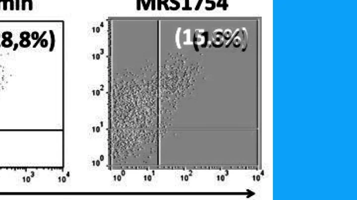 BEDF68212D43A75016B7F01EDC5D1F#1