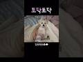 아직 뉴나 품이 좋을 나이👼🏻