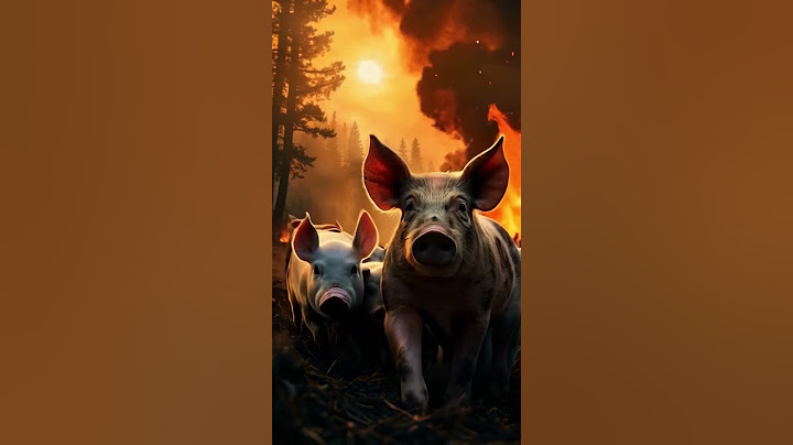 Brave Pig Rescues Herd from Wildfire | Heroic Animal Escape Caught on Film