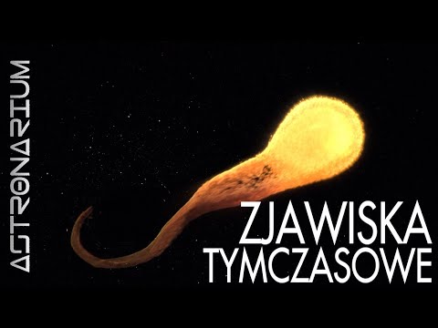 Wideo: Czym jest raport tymczasowy?