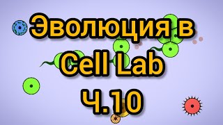Cell Lab - 15200ч. - 16400ч. Эволюция при радиации 0,030, ускорение ×16