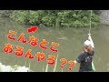 【バス釣り】スキッピングであのオーバーハングにルアーをぶち込むとデカバスが釣れるらしい!!