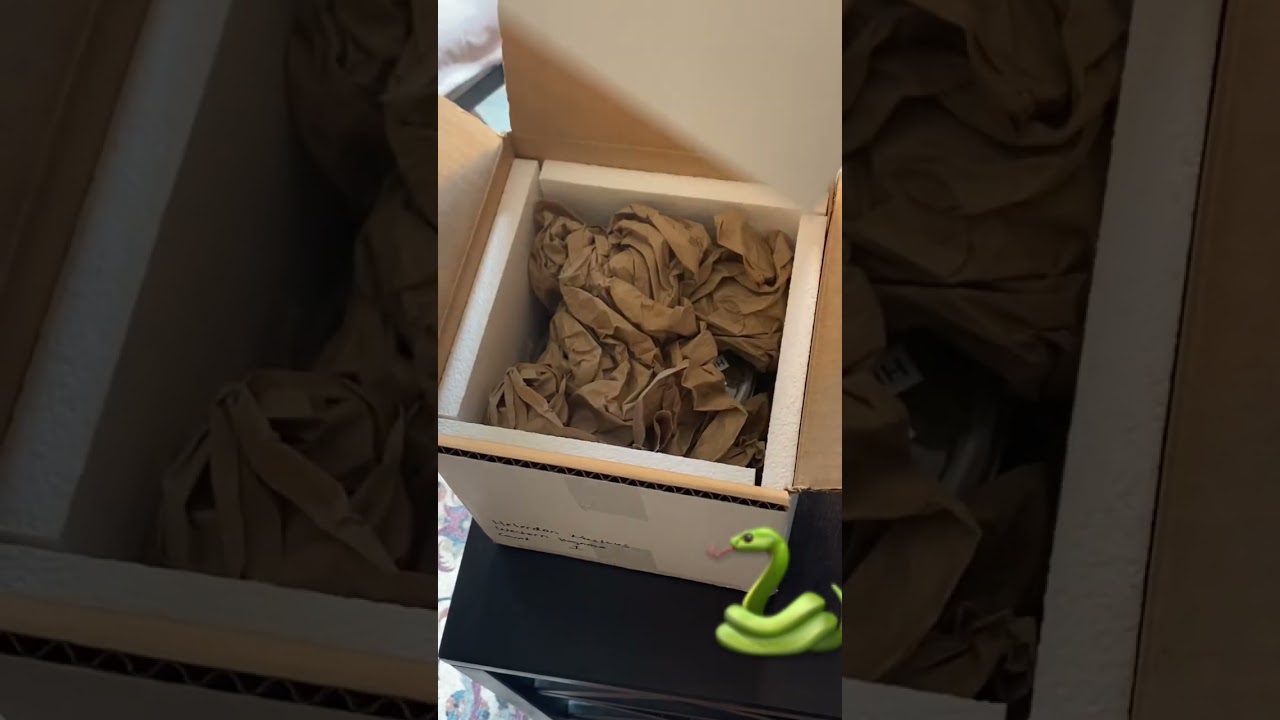 🐍Unboxing My New Snake!! 