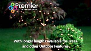 PREMIER - OUTDOOR BATTERY OPERATED LED TIME LIGHTS® (MULTI-ACTION