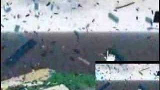 Roblox World Headquarters Explosion *BACKWARD VIDEO!!!*