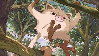 Pokémon – No Calm Left [Mankey’s song] Net Worth