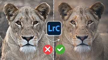 The ONE Detail Mistake That Ruins Wildlife Photos (Lightroom Tutorial)