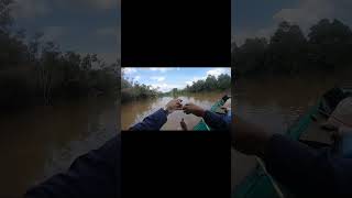 strike #fishing #mancingmania #ikan