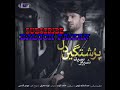 Balochi New Song 2019 (Yeh DiL Cha) Shabbir Sayad (Naveed Mehrabi) Mp3 Song