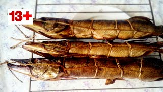Как солить щуку в тузлуке? для копчения? Как солить щуку в тузлуке? для копчения?