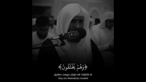 القرآن الڪریم .. سورة النحل .. بصوت القارئ .. سلمان العتيبي .. وَٱللَّهُ يَعْلَمُ مَا تُسِرُّونَ🤍:)