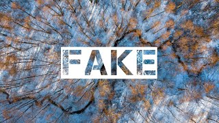 lauv & Conan gray - fake ( lyrics video)