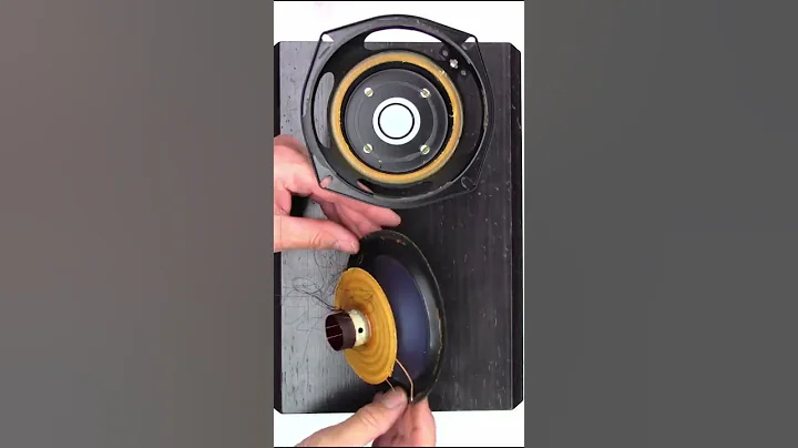 Polk RTi28 Woofer replacement with Dayton Audio DC...