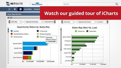 Intro to iCharts - Viewing, Creating, and Sharing iCharts in NetSuite