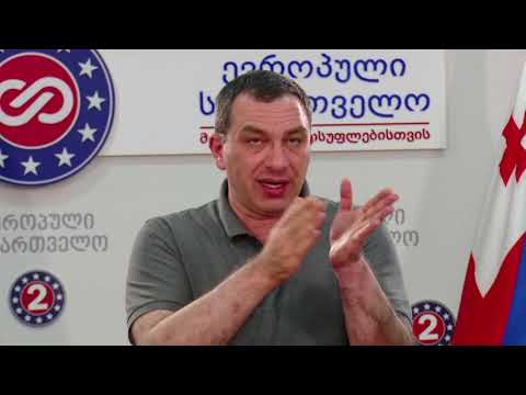 ბოკერია სააკაშვილის განცხადებაზე, საერთო ოპოზიცურ კანდიდატებზე და დეკანოიძის კანდიდატურის დაყენებაზე