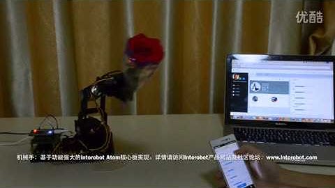 Robotic Arm control through internet