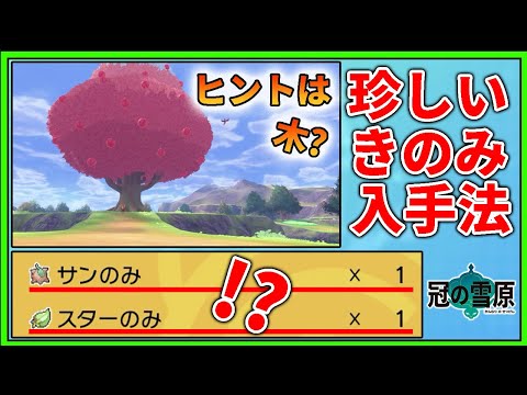 冠の雪原 最新版 サンのみ スターのみ 入手方法 ポケモン剣盾攻略 Youtube