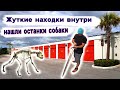 Жуткие находки в брошенном контейнере. Нашли останки собаки внутри. Холодное оружие.