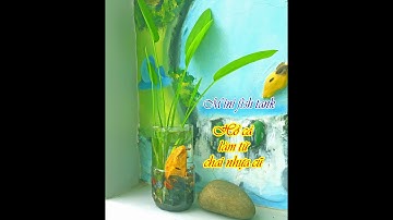 MINI FISH TANK - Cách là hồ cá mini từ chai nhựa cũ - Đá thạch anh vụn#fishtank #thuysinh #aquarium